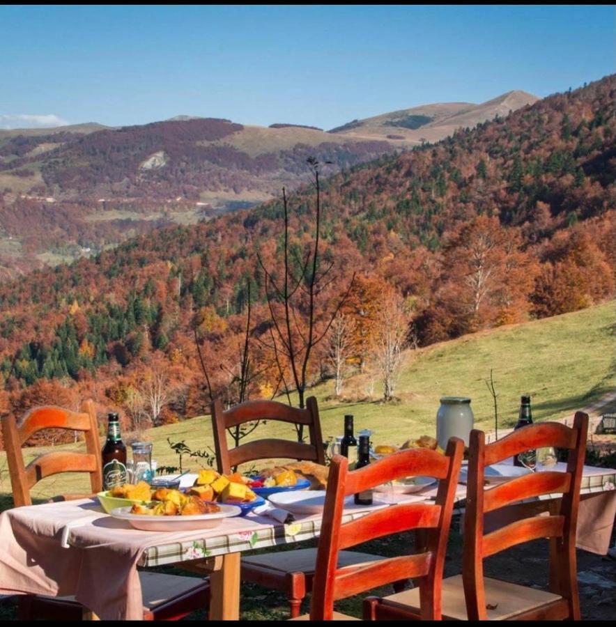 Villa Katun Lanista-Kolibe Bogavac Mojkovac Esterno foto