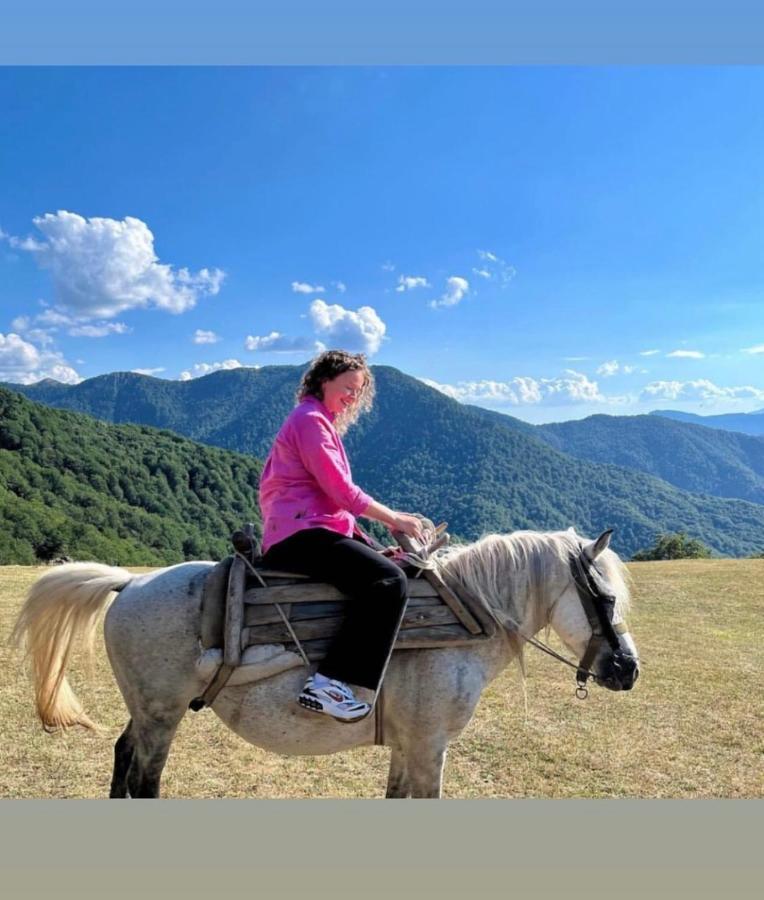 Villa Katun Lanista-Kolibe Bogavac Mojkovac Esterno foto