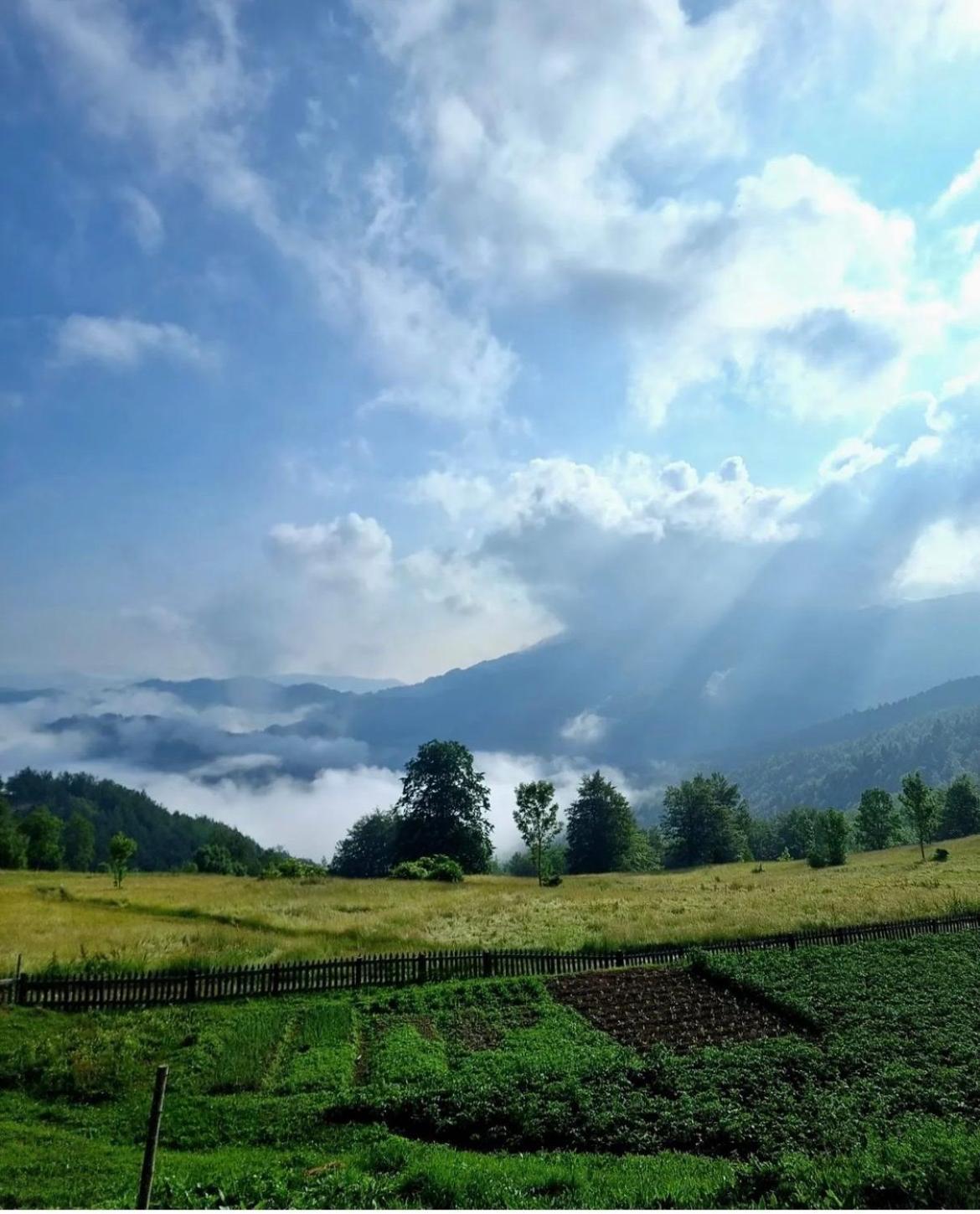 Villa Katun Lanista-Kolibe Bogavac Mojkovac Esterno foto